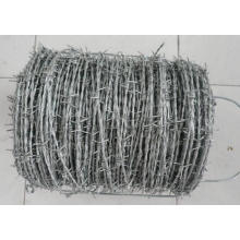 High Quality New Design Barbed Wire